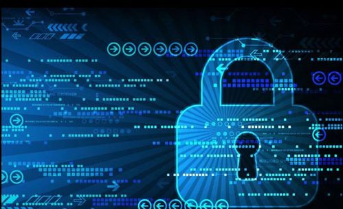 計算機軟件與網絡技術 理科薪資之冠的就業前景