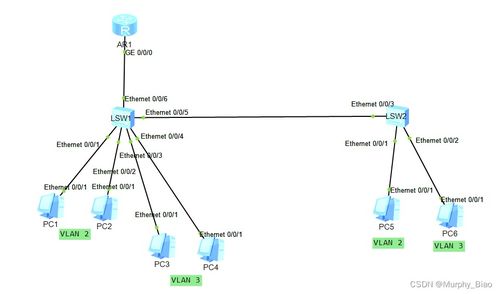 計算機網絡基礎 交換技術與VLAN詳解及配置指南